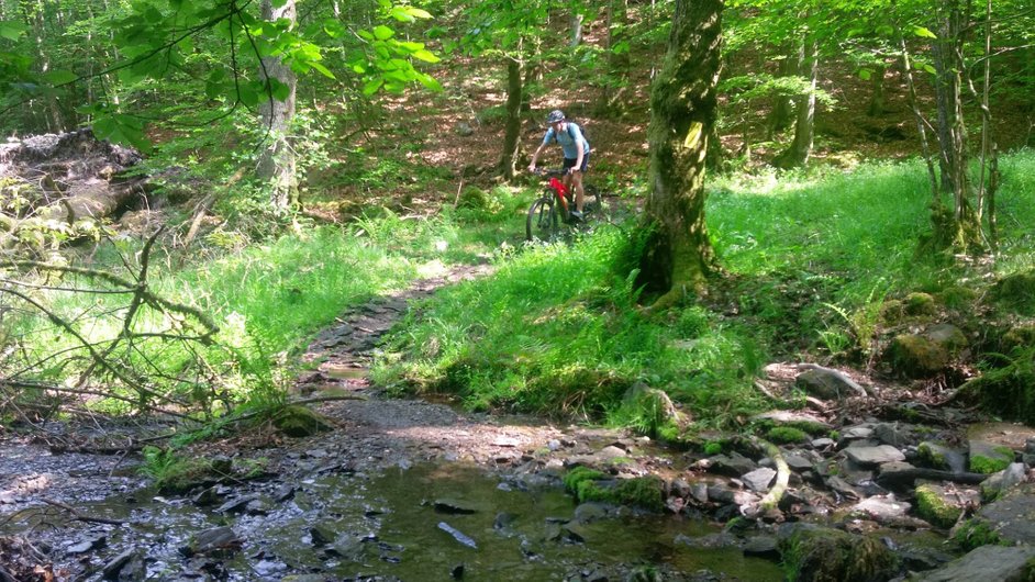 Mountain biking in the forests of Herbeumont